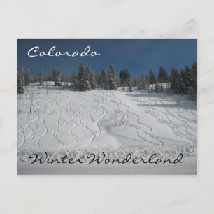 Colorado winterwonderland briefkaart