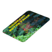 Colorado Zeven Herfsten met bomen en wijnstokken M Magneet (Linkerzijde)