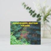 Colorado Zeven Herfsten met bomen POST-KAART Briefkaart (Staand voorkant)