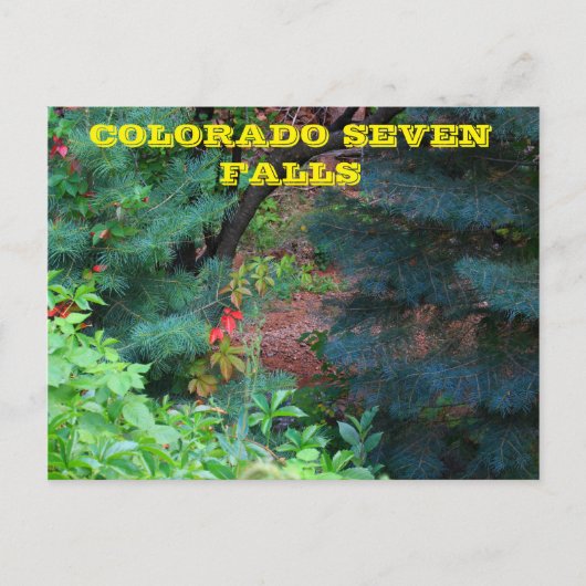 Colorado Zeven Herfsten met bomen POST-KAART Briefkaart (Voorkant)