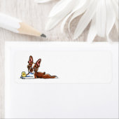 Colored Boston Terrier Etiket (Insitu)