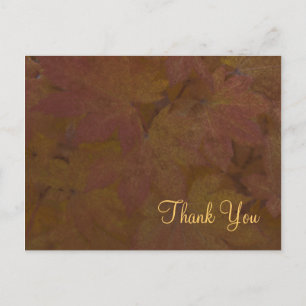 Colored Maple Leaves Dank u Briefkaart