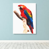 Colored Parrot Canvas Afdruk (Insitu (Houten vloer))