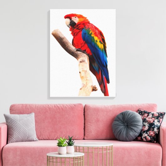 Colored Parrot Canvas Afdruk (Insitu (Woonkamer))