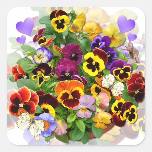 Coloreuze pansies en hartkloppingen Klassieke rond Vierkante Sticker (Voorkant)