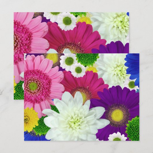 Colorfor Daisies Briefkaart (Voorkant / Achterkant)