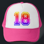 Colorful 18th Birthday Party Trucker Pet<br><div class="desc">18e trieste verjaardag van de trieste verjaardag van uw zoon of dochter die 18 jaar oud wordt</div>