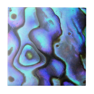 Colorful Abalone Seashell, prachtige Natuur Tegeltje
