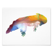 Colorful abstract axolotl silhouet foto afdruk (Voorkant)