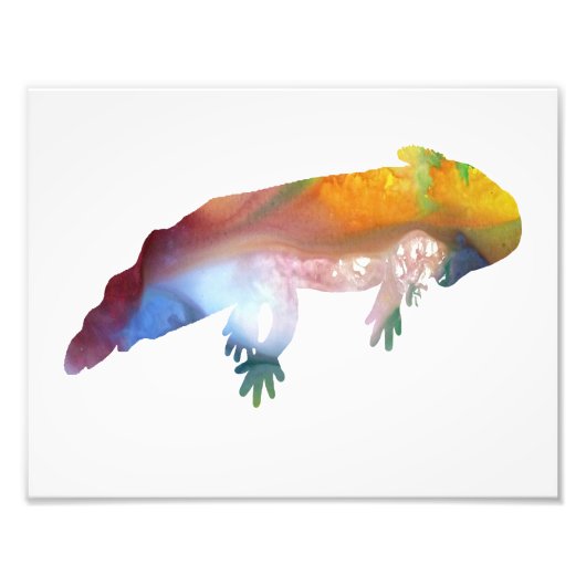 Colorful abstract axolotl silhouet foto afdruk (Voorkant)
