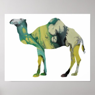 Colorful abstract Dromedary silhouette Poster