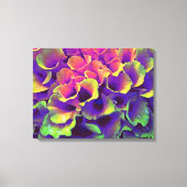 Colorful Abstract Flower Petals Canvas Art (Voorkant)