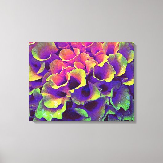 Colorful Abstract Flower Petals Canvas Art (Voorkant)