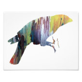 Colorful abstract Grossbeak-silhouet Foto Afdruk (Voorkant)