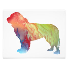Colorful abstract newfoundland silhouet foto afdruk