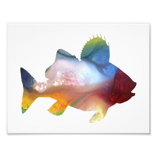 Colorful abstract Perch silhouette Foto Afdruk (Voorkant)