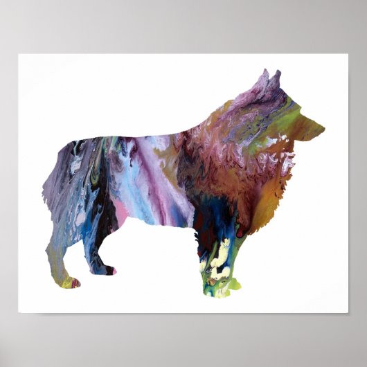 Colorful abstract Schipperke silhouette Poster (Voorkant)