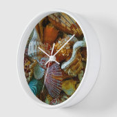 Colorful Abstract Seashells (Hoek)