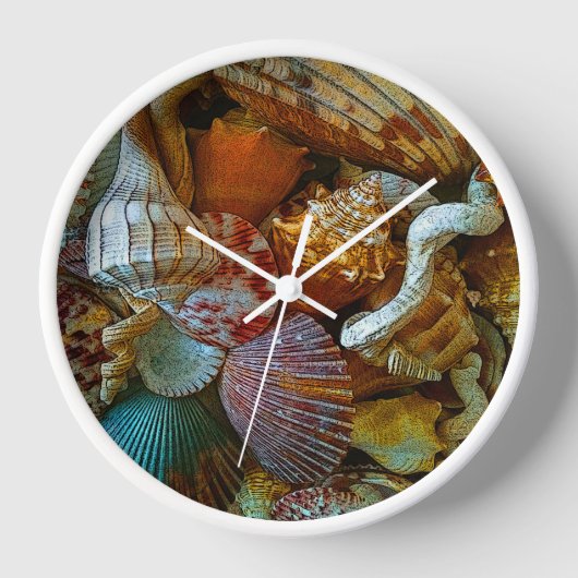 Colorful Abstract Seashells (Voorkant)