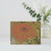 Colorful African Daisies Hi! Briefkaart (Staand voorkant)