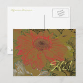 Colorful African Daisies Hi! Briefkaart (Voorkant / Achterkant)