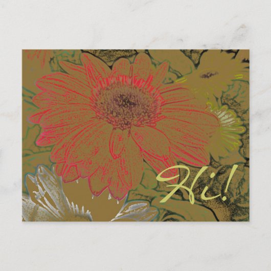Colorful African Daisies Hi! Briefkaart (Voorkant)