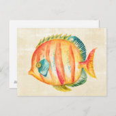 Colorful Aquarium Fish Briefkaart (Voorkant / Achterkant)