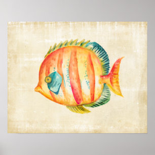 Colorful Aquarium Fish Poster
