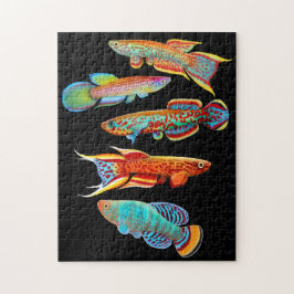 Colorful Aquarium Killifish Puzzle Legpuzzel