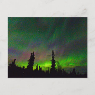 Colorful Aurora over Alaska Briefkaart