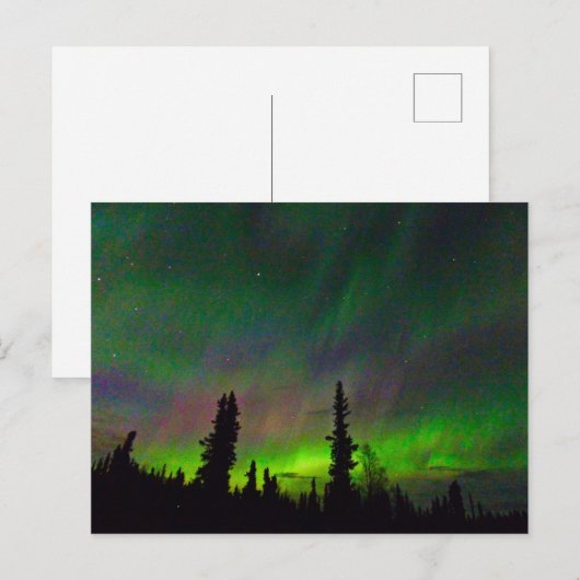 Colorful Aurora over Alaska Briefkaart (Voorkant / Achterkant)