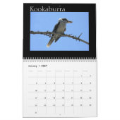 Colorful Australian Birds Kalender (Jan 2027)