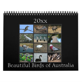 Colorful Australian Birds Kalender