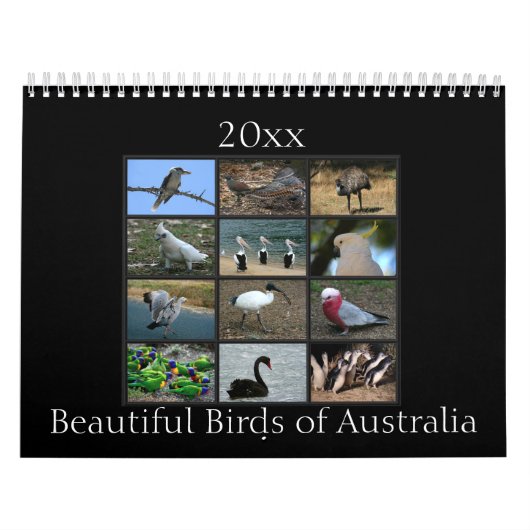 Colorful Australian Birds Kalender (Hoes)