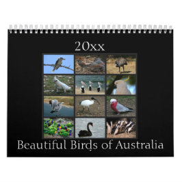 Colorful Australian Birds Kalender