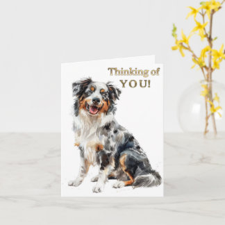 Colorful Australian Shepherd Wenskaart Kaart