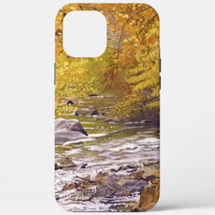 Colorful Autumn Aspens in Morrison Colorado Case-Mate iPhone Case