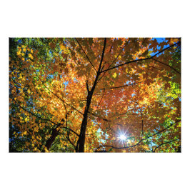 Colorful Autumn Central Park uitzicht Foto afdrukk Afdruk