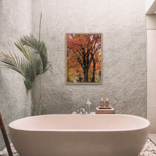 Colorful Autumn laat fotografisch over Foto Afdruk