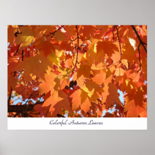 Colorful Autumn laat prints Oranje Herfst boomgaar