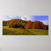 Colorful Autumn Landschap Poster (Voorkant)
