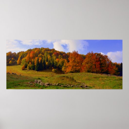 Colorful Autumn Landschap Poster (Voorkant)