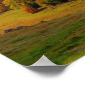 Colorful Autumn Landschap Poster (Hoek)