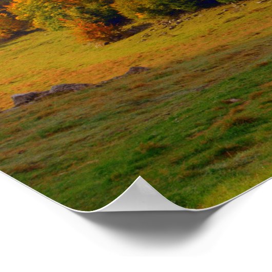 Colorful Autumn Landschap Poster (Hoek)