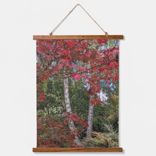 Colorful Autumn Leaves and Trees Hangend Wandkleed (Voorkant)