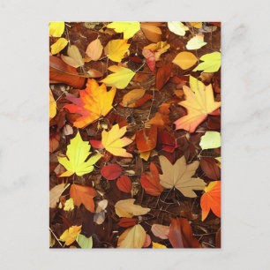 Colorful Autumn Leaves Briefkaart