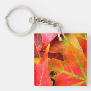 Colorful Autumn Leaves Close-up Sleutelhanger