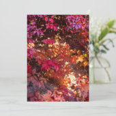 Colorful autumn leaves feestdagenkaart (Staand voorkant)