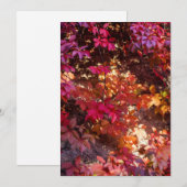 Colorful autumn leaves feestdagenkaart (Voorkant / Achterkant)