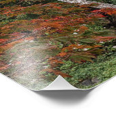 Colorful Autumn Leaves Foto Afdruk (Hoek)